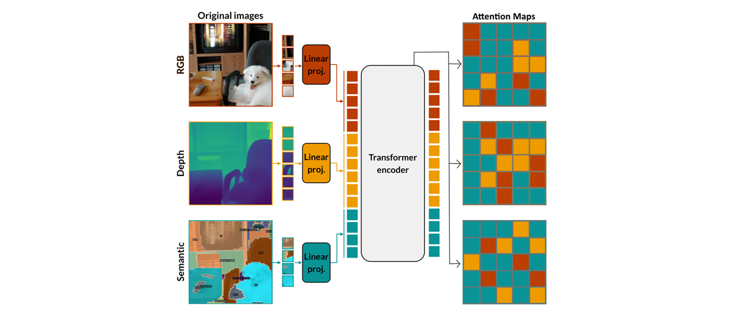 Attention computation across modalities in MultiMAE
