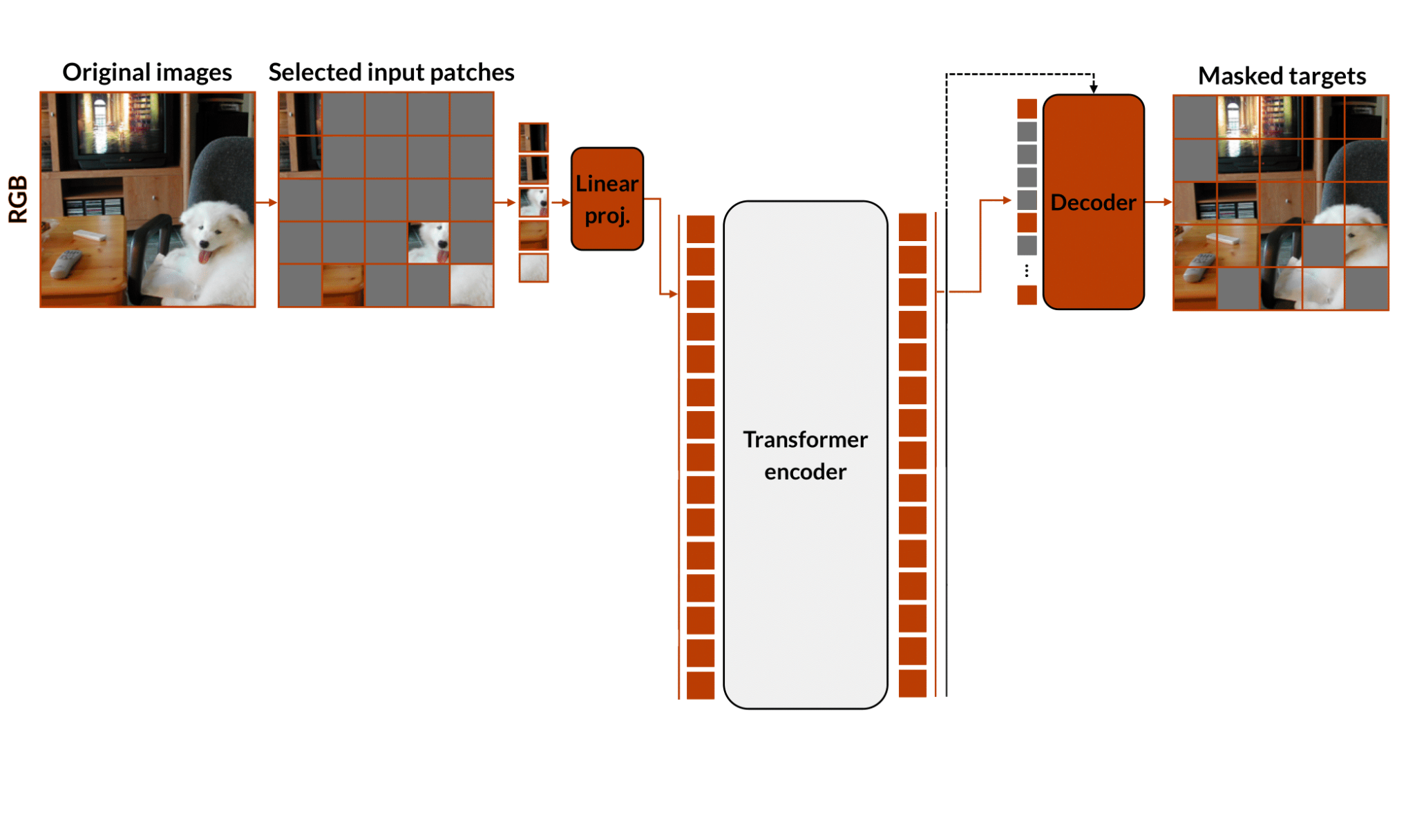 Single-modality MAE pipeline